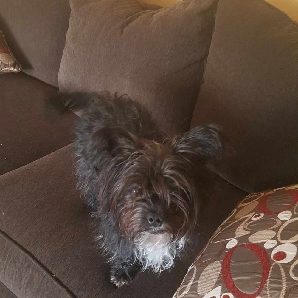 Meet your Posher, Nelwanda